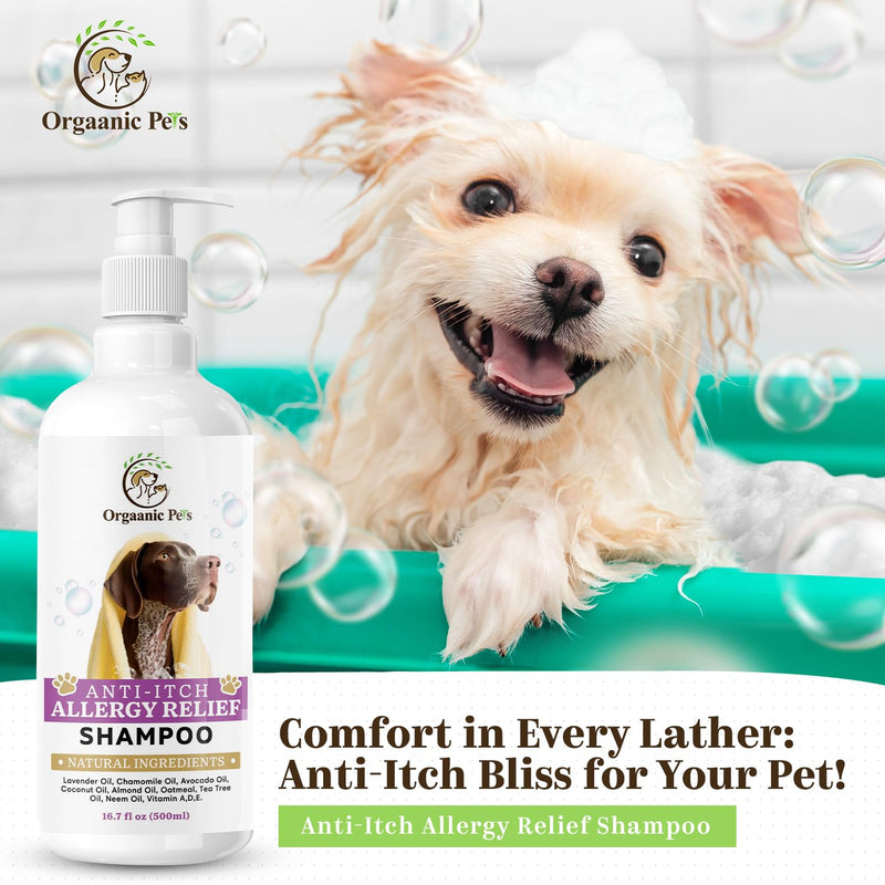 Anti-Itch Dog Shampoo: with 9 Natural Essential Oils and Ingredients - RELIEVES discomfort from Skin Allergies -Moisturizing - Anti-inflammatory - Calming - PawsPlanet Australia