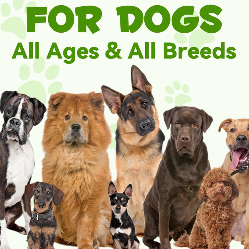 Probiotics for Dogs，3-in-1 Dog Probiotics，Dog Probiotics for Digestive Support, Dog Probiotic Supplements，Pet Probiotics for Dogs， Liquid Probiotics for Dogs | 2 Oz - PawsPlanet Australia