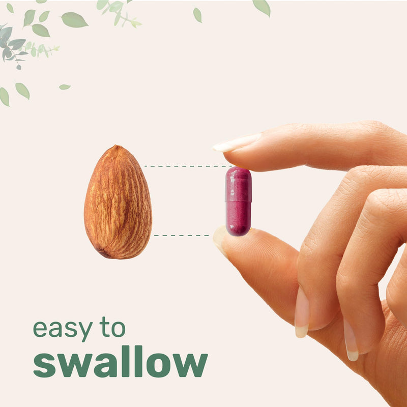 [Australia] - Red Yeast Rice 1,200mg with CoQ10 100mg, 240 Veggie Capsules | 4-in-1 with Flush Free Niacin & Fat Soluble Vitamin C | Cholesterol Support & Heart Health Supplements | Filler Free, Non-GMO, No Gluten 