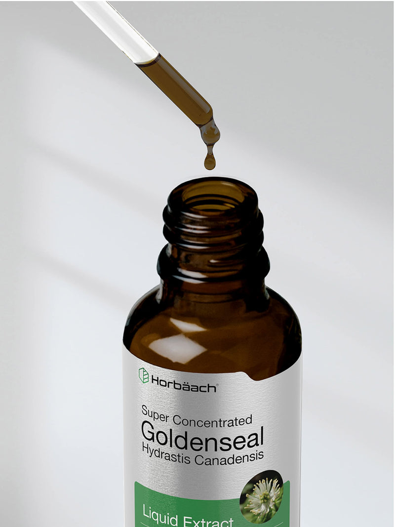 Horbäach Goldenseal Root Extract Liquid | 1 fl oz Tincture | Super Concentrated | Alcohol Free | Vegetarian, Non-GMO, Gluten Free