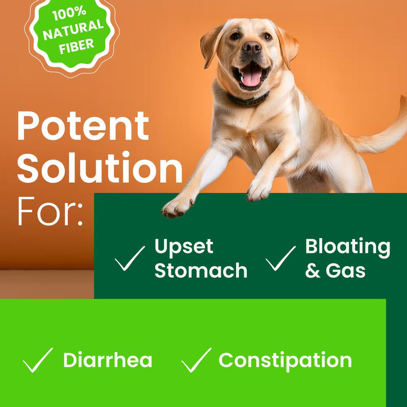 Pumpkin for Dogs - Apple, Pumpkin Seeds and Pumpkin Fruit - Fiber Supplement and Stool Softener - Diarrhea, Constipation, Upset Stomach, Food Sensitivity - Improve Digestion - 6oz Unflavored - PawsPlanet Australia
