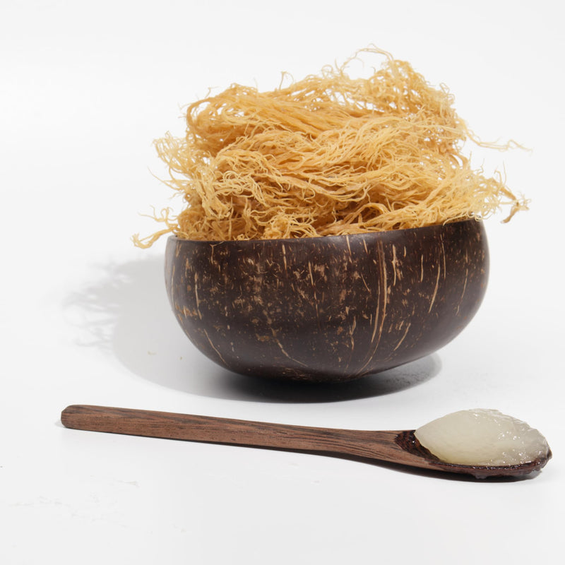 Raw Dried Sea Moss 100g | Pure Sea Moss Organic-Vegan, for Homemade Sea Moss Gel