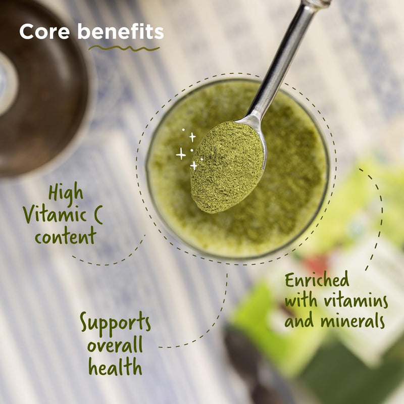 Moringa Oleifera Powder| 100% Pure Immunity Booster|Vitamin C, Iron| 12 Oz 3.5 Ounce (Pack of 3)