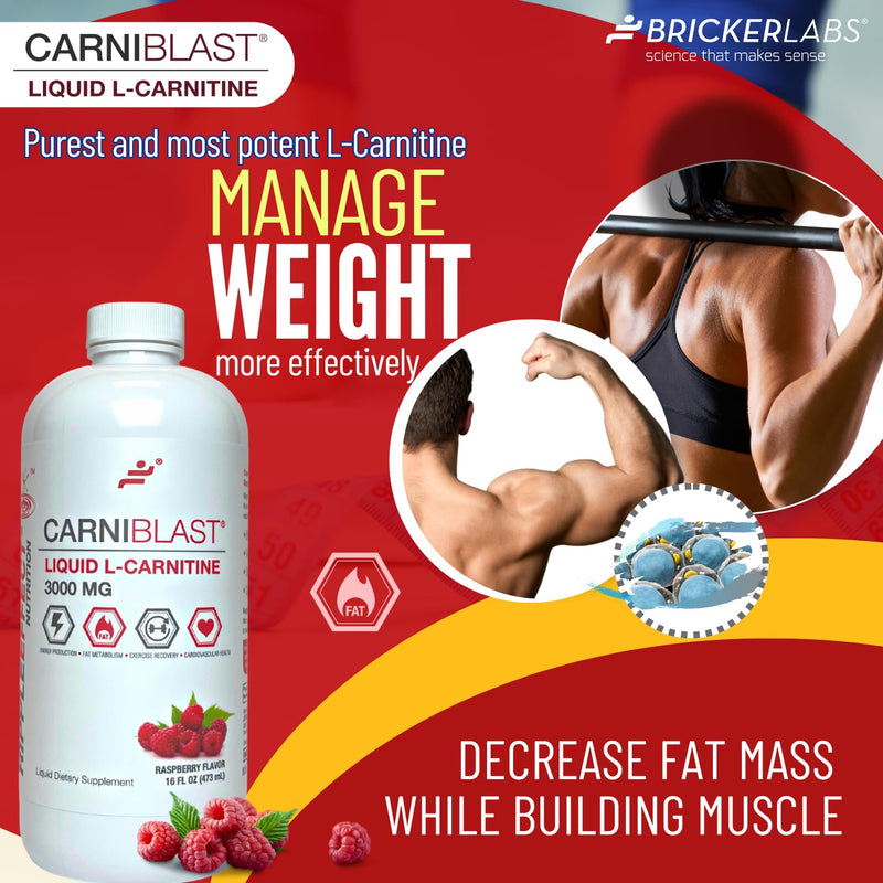 [Australia] - CARNIBLAST Liquid L-Carnitine 3000mg, Premium L Carnitine Carnipure, Energy Nutrition, Energy Supplement and Energy Booster, Raspberry, 16 fl oz 