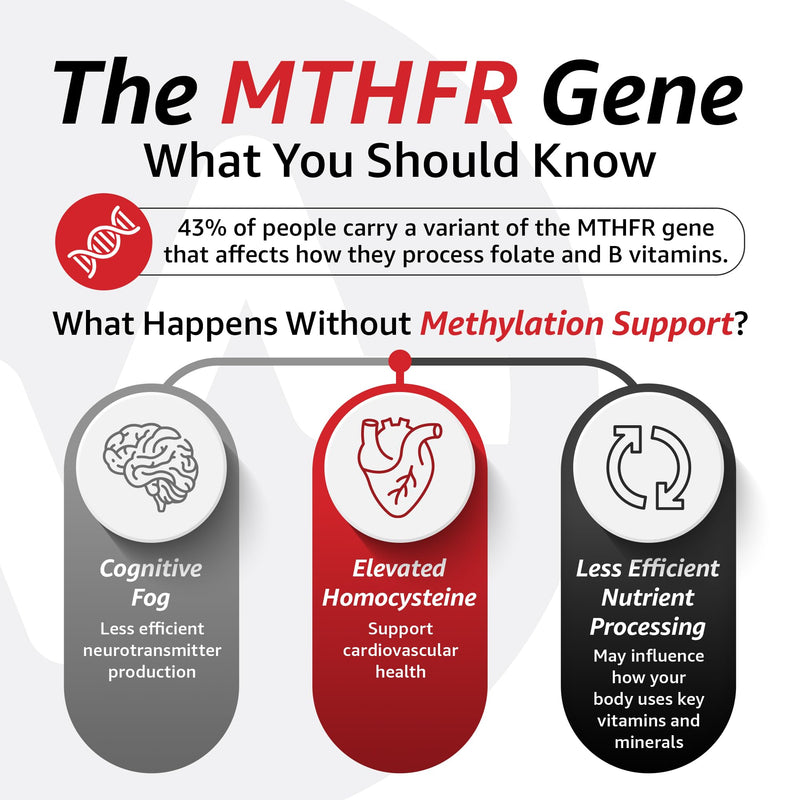 10X Health Methylated Multivitamin - 90 Capsules | Mthfr Supplement: 34-in-1 Formula, 800mcg B12, 5-MTHF & NAC, Methyl B Complex, Non-GMO 90 Count (Pack of 1)