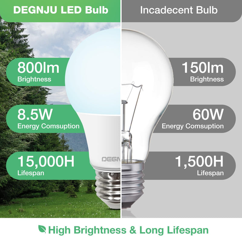 [Australia] - LED Light Bulbs Daylight 5000K, 60 Watt Equivalent LED Bulbs, A19 Standard Bulbs, 800 LM, 15000 Hours, E26 Base, Non-Dimmable, 8.5W LED Bulbs for Bedroom Living Room 24 Pack 60w-daylight 