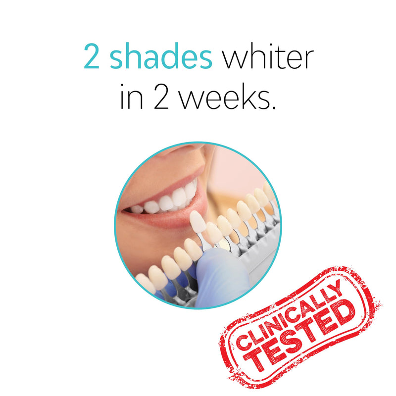 TAO Clean Daily Care Whitening Replacements Heads - White - 2 Pack