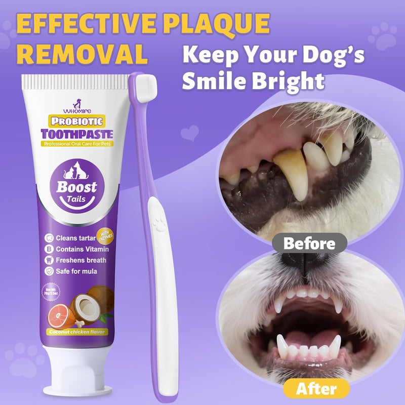 Vet Recommended Small Dog Teeth Brushing Kit - Soft Brush and Finger Brush removes 99% of Plaque, Natural Coconut Chicken-Flavored Toothpaste 2.5 oz. for Fresh Breath 2.5oz-Coconut Chicken
