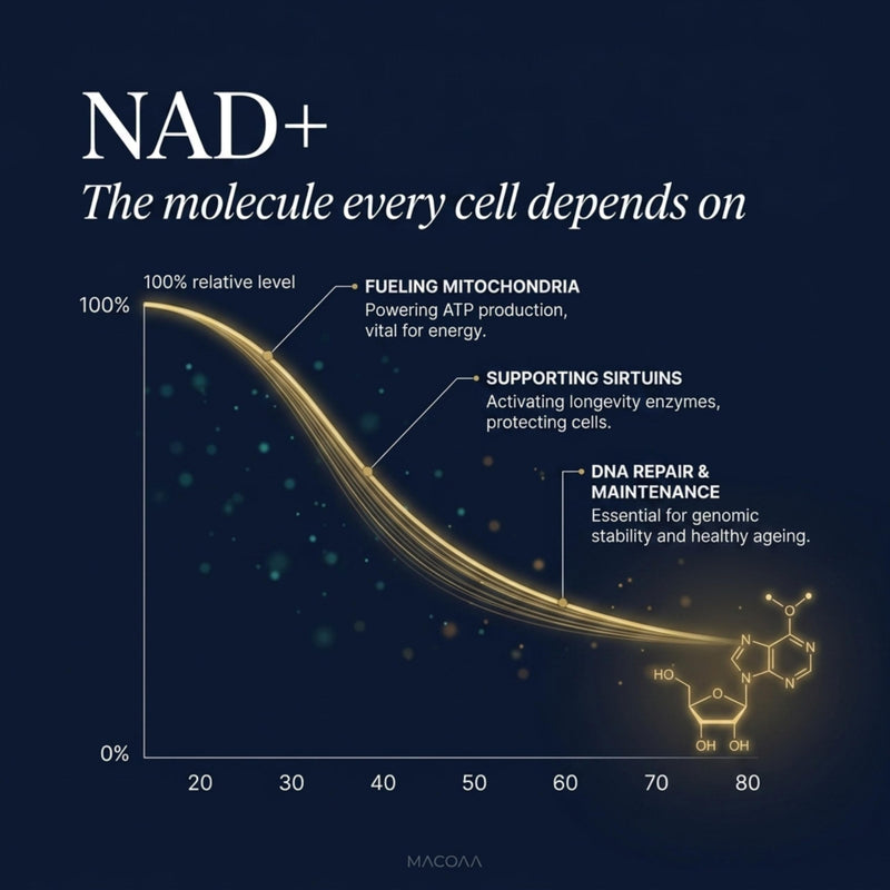 NAD+ Supplements 1255mg, NAD Plus Liposomal Premium Capsules with Nicotinamide Riboside, Trans-Resveratrol & TMG, High Strength for Cellular Energy, Metabolism & Healthy Ageing, 120 Capsules
