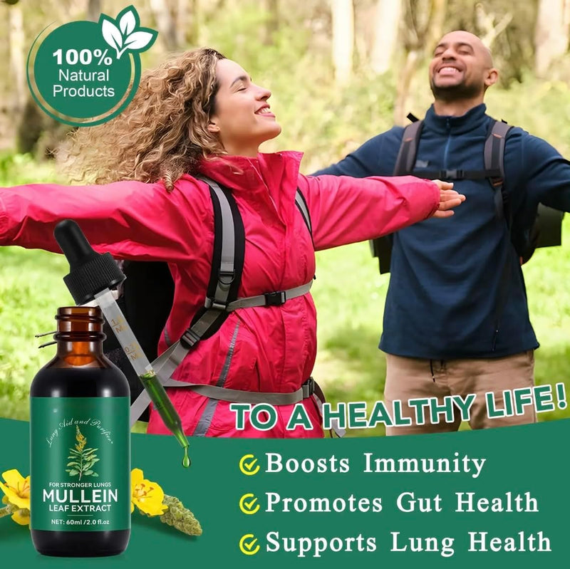 Mullein Drops for Lungs, Mullein Leaf Extract for Lungs, Natural Mullein Herbal Supplements, Mullein Chlorophyll Drops for Lungs, Lung Cleanse for Smokers - 2.02 fl oz 2.02 Fl.Oz (Pack of 1)
