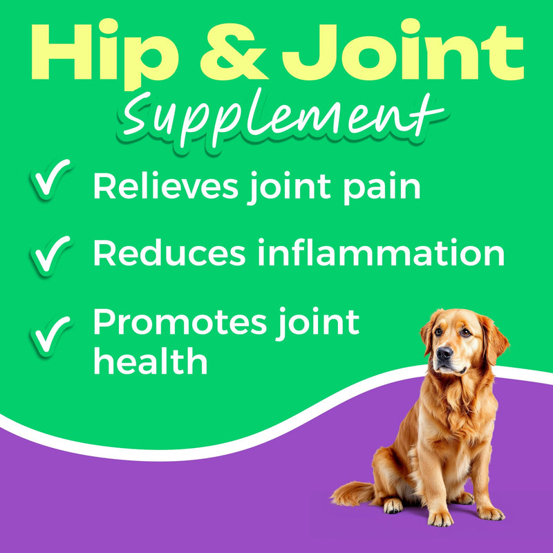Pawfect Mobility Glucosamine Chews for Dogs - Hip & Joint Health Supplement Chews w/Omega-3, Chondroitin, MSM - Made in USA - Joint Pain Relief - Hip & Joint Care - 120ct 120 Glucosamine Treats - PawsPlanet Australia