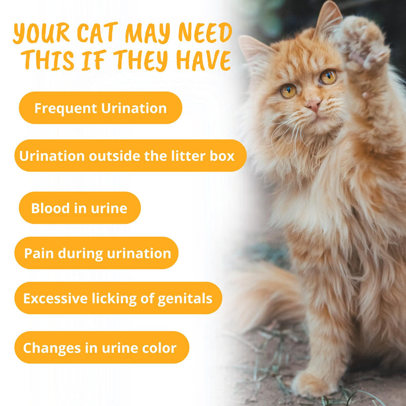 Under The Weather Pet Urinary Tract Support Chews for Cats | Promote Healthy Urinary Function in Cats | 60 Star Shaped Soft Chews - PawsPlanet Australia