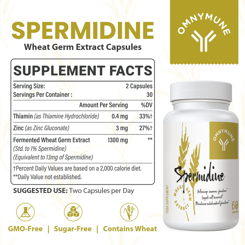 Fermented Wheat Germ Extract - 13 mg spermidine per Capsule - with zinc and thiamine - 60 Capsules (60 Count (Pack of 1)) 60 count (Pack of 1)