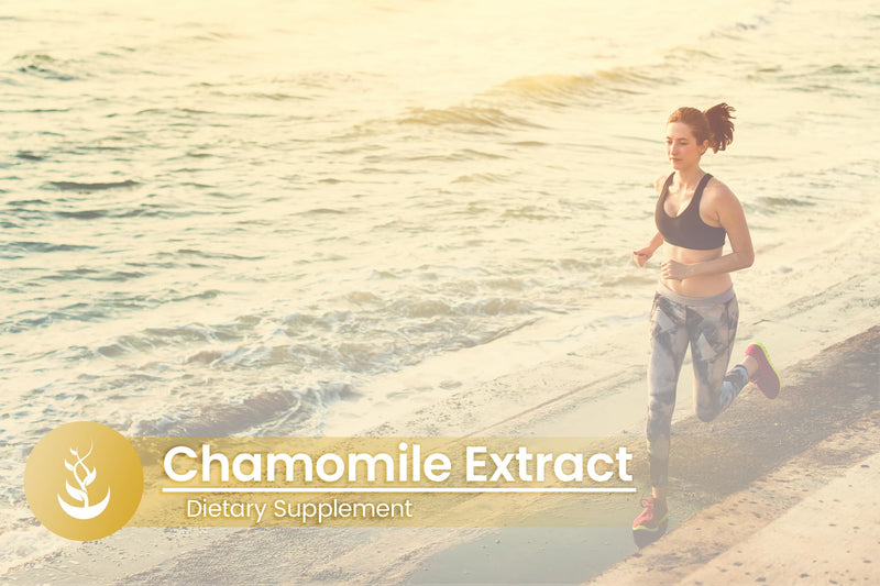 [Australia] - Pure Original Ingredients Chamomile Extract, (100 Capsules) Always Pure, No Additives Or Fillers, Lab Verified 100 Count (Pack of 1) 