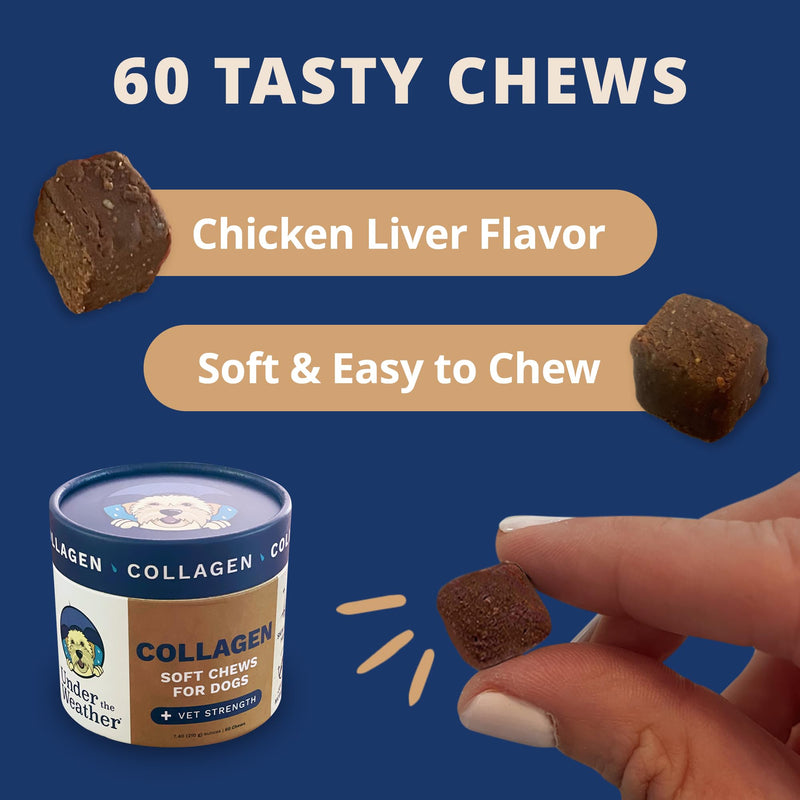 Under the Weather Collagen Chews for Dogs | Promotes Healthy Skin Coat and Stronger Hip & Joint | Improves Overall Mobility | Immunity and Anti-inflammatory Collagen for Dog Supplement | 60 Count - PawsPlanet Australia
