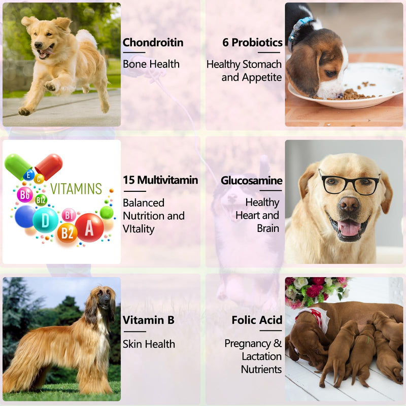 Dog Multivitamin - 15 in 1 Multivitamin Drops for Dogs, Dog Vitamins with Glucosamine Cranberry Supports Joint & Digestion, Skin & Coat, Pets Supplements for Dogs of All Ages, Bacon Flavor - 2 Fl Oz Purple-15 in 1 Multivitamin - PawsPlanet Australia
