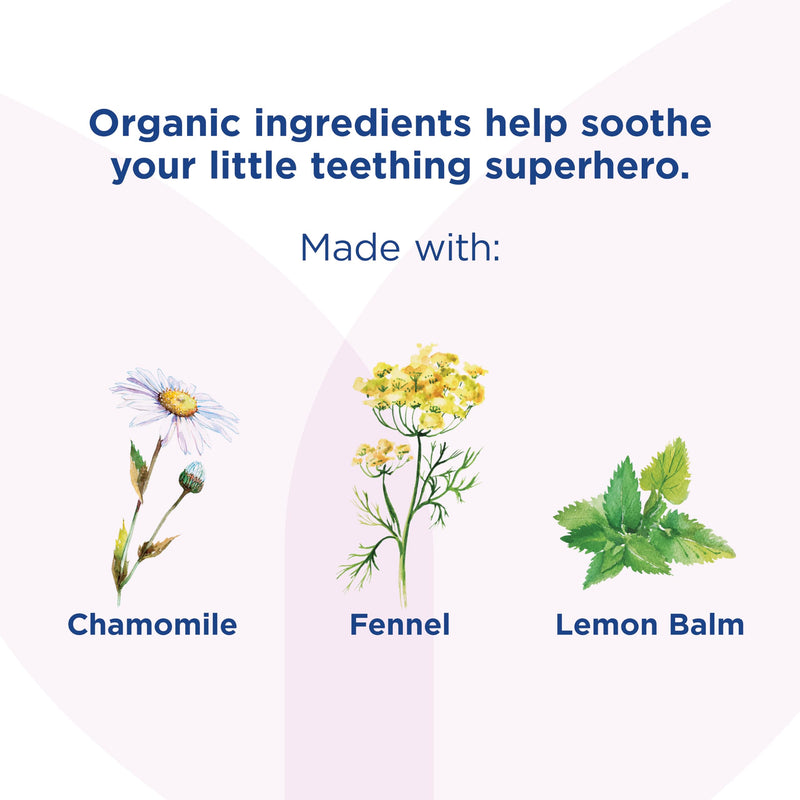 [Australia] - Hyland's Naturals Baby - Organic Daytime & Nighttime Soothing Drops Combo Pack, 2 oz. Oral Drops – Day/Night Combo 