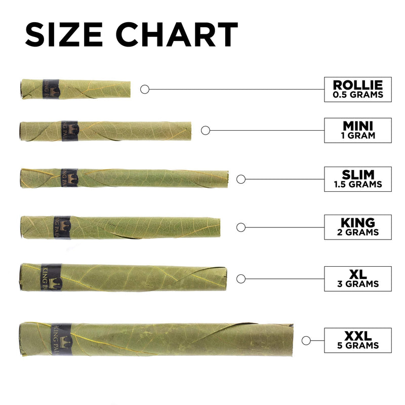 [Australia] - King Palm Flavors Mini Size Cones - 1 Pack, 2 Rolls Terpene Infused - Squeeze & Pop Pre Rolls - Organic Flavored Pre Rolled Cones - King Palm Flavors Cones (COMBO PACK - 1 OF EACH FLAVOR) COMBO PACK - 1 OF EACH FLAVOR 