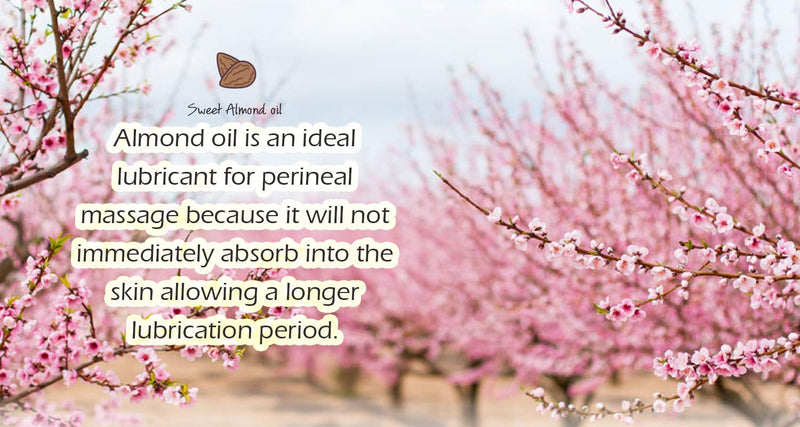[Australia] - Mommy Care Perineal Massage Oil Labor Preparation, Flexible Perineal Massage Oil, Sweet Almond Oil For Pregnancy and Postpartum Recovery 100ml/3.38 fl.oz Certified Organic All Natural 