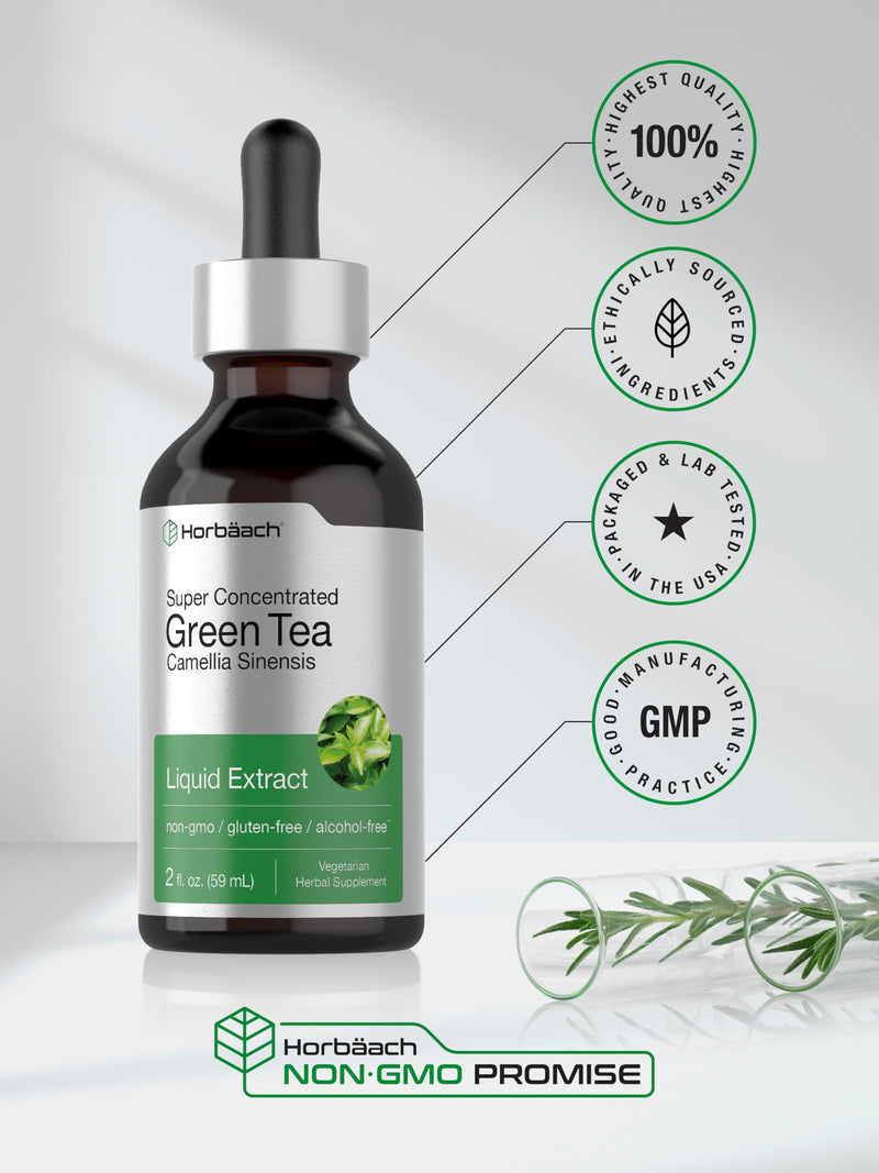 Horbäach Green Tea Extract Liquid | 2 Fl Oz | Alcohol Free, Vegetarian Tincture | Super Concentrated Supplement | Non-GMO, Gluten Free