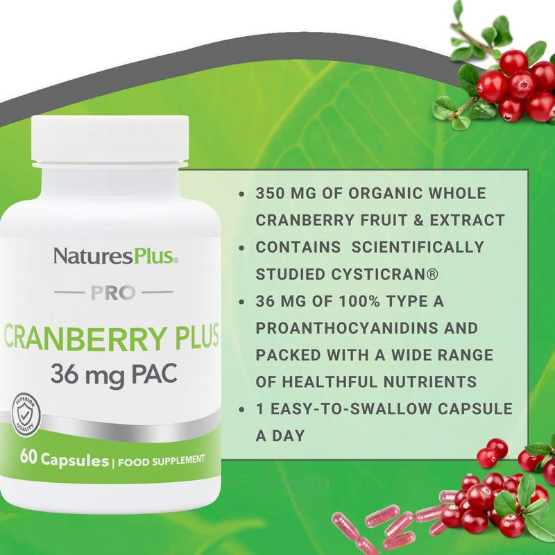 NaturesPlus PRO Cranberry Plus - High Strength Cranberry Supplement, Fruit & Extract, 36 mg PAC - Vegan, Gluten Free, GMO Free - 60 Capsules