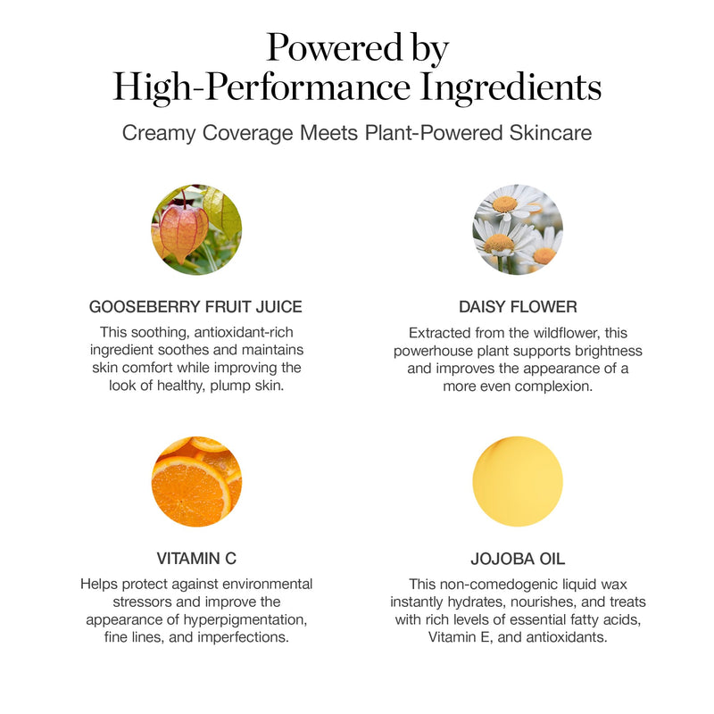 Ogee Complexion Perfecting Liquid Foundation - Linden 1.25N | Lightweight Tinted Moisturizer, Light Beige, Neutral Undertone, with Vitamin C & Jojoba Oil, Certified Organic & Made in USA Linden 1.25N - Light Beige, Neutral Undertones