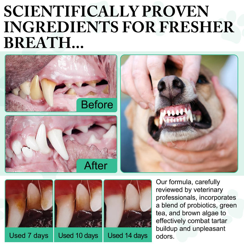 Dog Dental Powder - Teeth Cleaning Powder for Dogs - Dental Powder for Dogs - Dog Dental Care - Plaque & Bad Breath Off Powder Dog - Dental Care Supplies for Small - Medium - Large Dogs - PawsPlanet Australia
