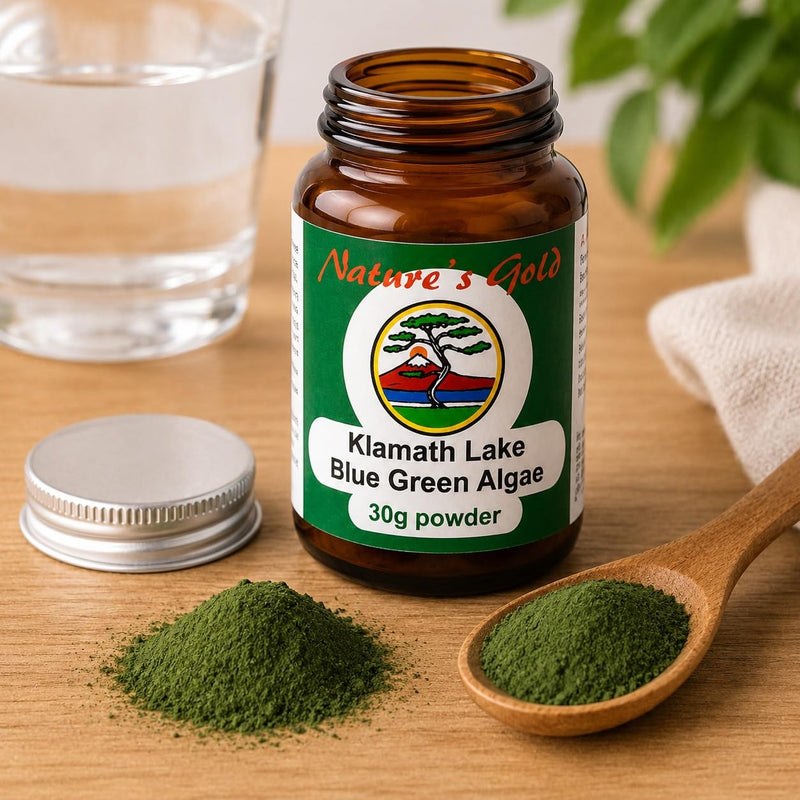 Nature's Gold Klamath Lake Blue Green Algae Powder 30g | Pure AFA Algae Food Supplement | Vegan | Powder | No Fillers | from Upper Klamath Lake, Oregon 30 g (Pack of 1)