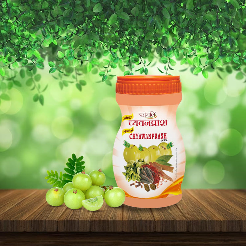 [Australia] - Patanjali Chyawanprash 500gm / 16.90 fl oz 