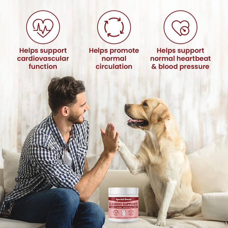 Special Breed Cardio Support for Dogs - Heart Health Support with Taurine, CoQ10, Organic Hawthorne Berry, Powder Supplement, 120 Scoops, 3.14 oz - PawsPlanet Australia