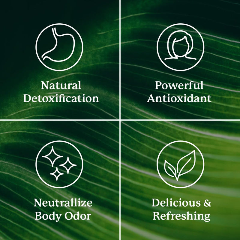 [Australia] - Nature's Sunshine Chlorophyll Stick Packs: Supercharge Your Detox and Boost Gut Health in Convenient, Delicious Stick Packs (Lime Twist) Lime Twist 
