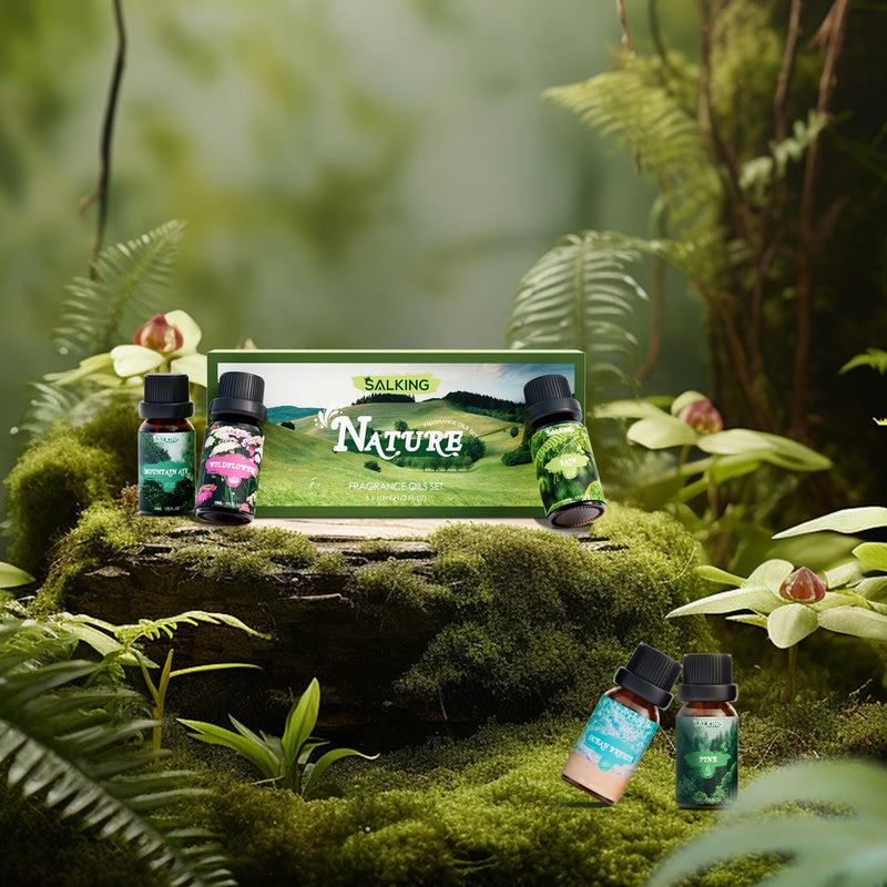 [Australia] - SALKING Natural Essential Oils Set, Aromatherapy Fragrance Oil Gift Set, Pure Fragrance Oils for Diffuser Humidifiers, 6 x 10 ml (Pine, Sea Breeze, Rain, Freshly Cut Grass, Wild Flowers, Mountain Air) 
