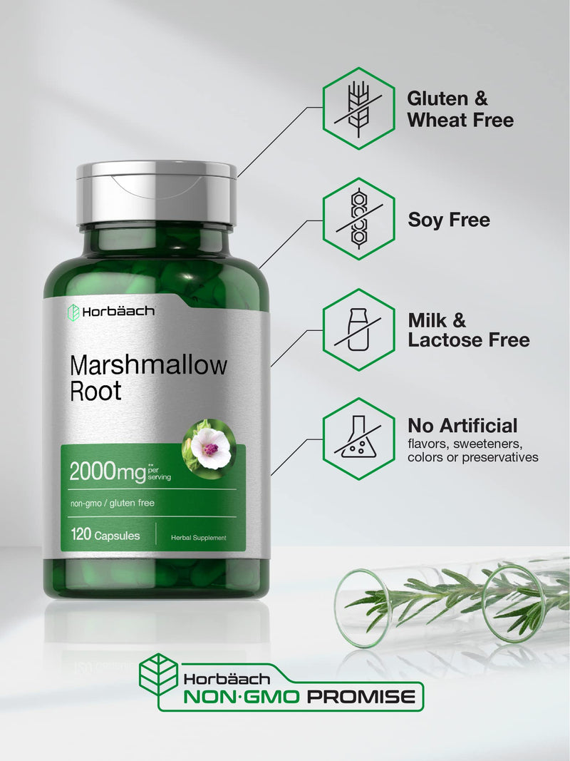 Horbäach Marshmallow Root Capsules | 2000mg | 120 Count | Non-GMO & Gluten Free | Traditional Herb Extract