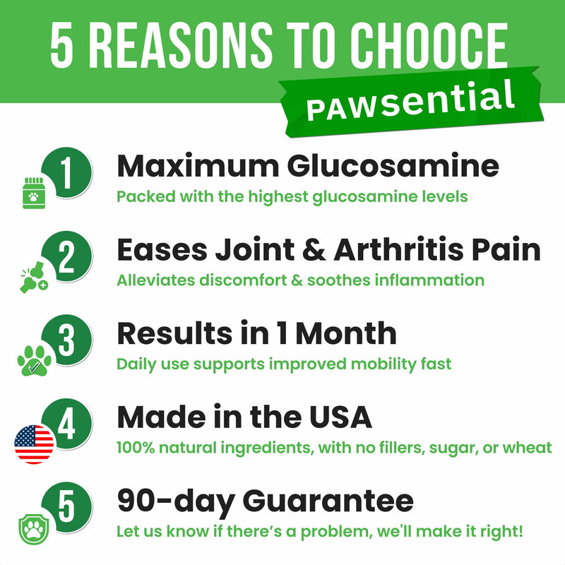 Glucosamine for Dogs - Joints Health Treats w/Omega Fish Oil - Natural Joint Pain Relief - Canine Hip and Joint Supplement w/Chondroitin + MSM + Turmeric + Calcium - 120 Beef Chews 120 Glucosamine Treats - PawsPlanet Australia