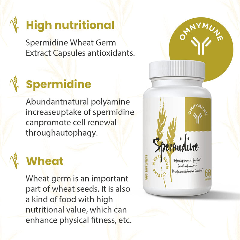 Fermented Wheat Germ Extract - 13 mg spermidine per Capsule - with zinc and thiamine - 60 Capsules (60 Count (Pack of 1)) 60 count (Pack of 1)