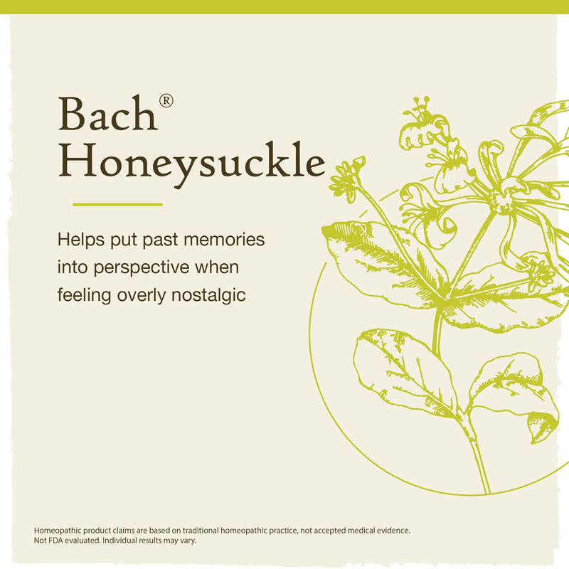 [Australia] - Bach Original Flower Remedies, Honeysuckle for Embracing The Now (Non-Alcohol Formula), Natural Homeopathic Flower Essence, Holistic Wellness and Stress Relief, Vegan, 10mL Dropper 
