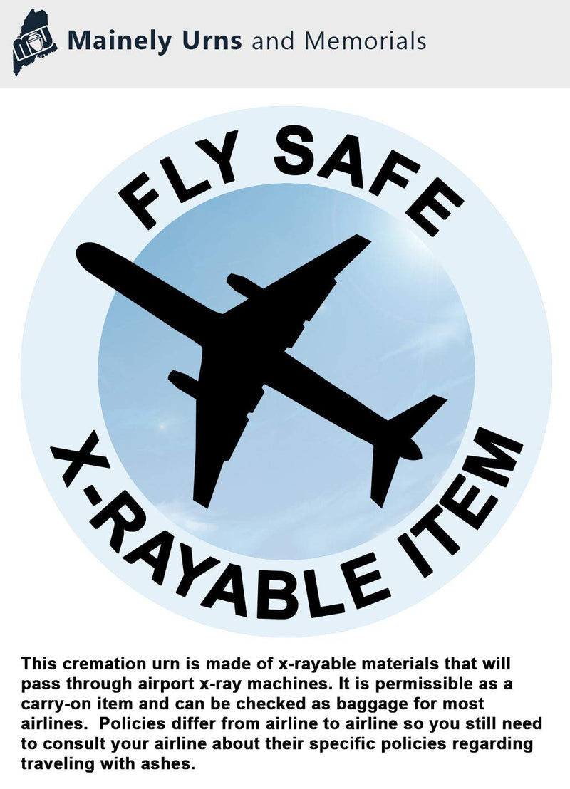 [Australia] - CarrySafe Urn - TSA Approved Fly-Safe and Temporary Travel Cremation Urn Kit for Human Ashes - Airline Friendly - 200 Cubic Inch Capacity - Airline-Ready Black Plastic Urn with Included Travel Box 