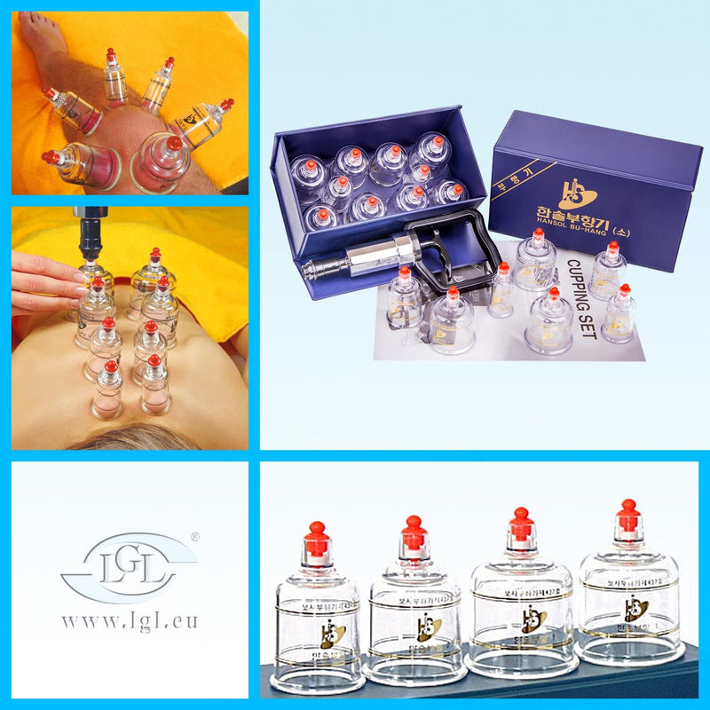 [Australia] - LENITH Professional Cupping Set Cupping Kit Equipment Set with Pumping Handle 10 Cups & English Manual (Made in Korea) Small 