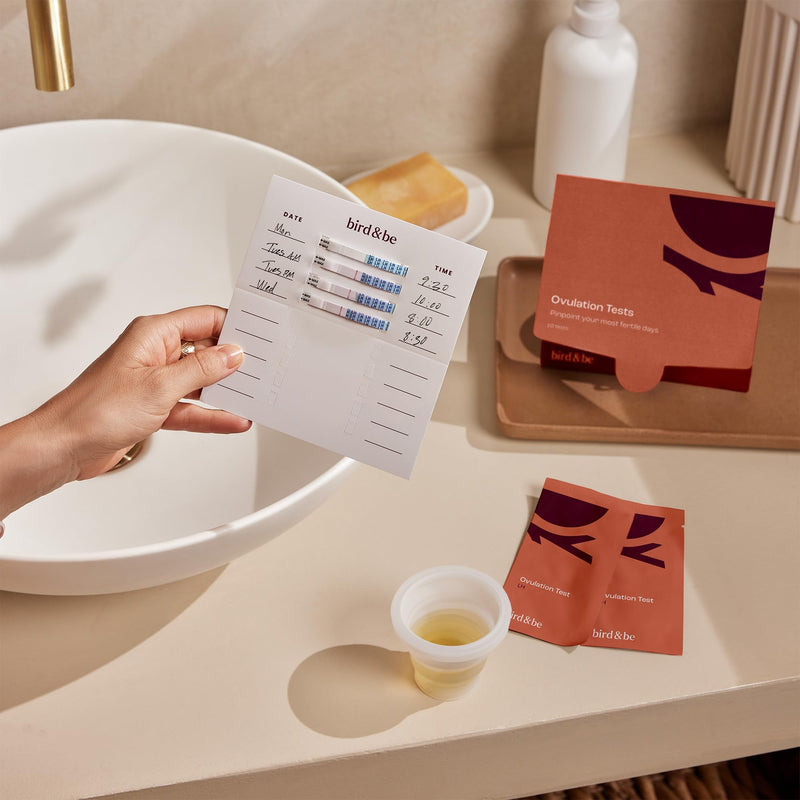 bird&be Ovulation Test Strips (LH) | 10 High-Accuracy Predictor Kits | Track Fertile Window & LH Surge | Eco-Friendly Low-Waste Design | Easy Dip & Read Results | TTC Fertility Monitor White 10 LH Strips
