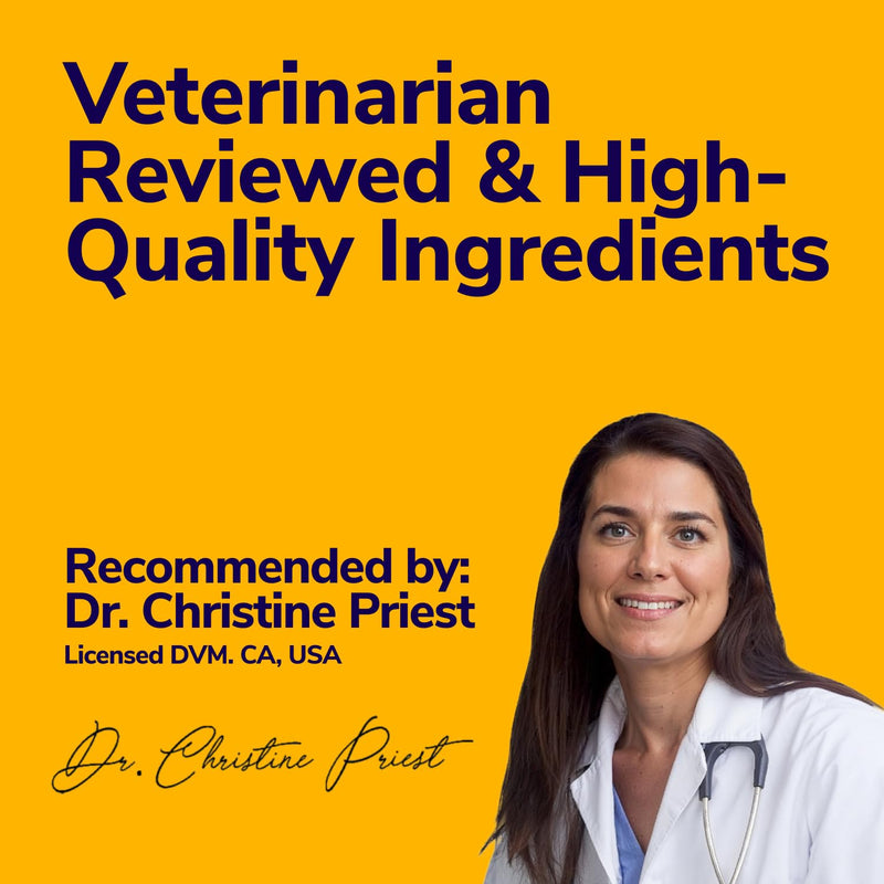Medicated Dog Shampoo for Itchy Skin Relief - Yeast Infection Treatment for Dogs & Dog Allergy Relief Hot Spot Treatment - Hydrocortisone Antifungal Shampoo (16 oz) - PawsPlanet Australia