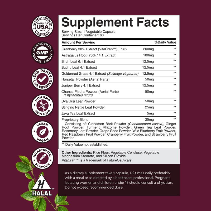 [Australia] - Advanced Kidney Support Supplement - Kidney Cleanse Detox & Repair Cranberry Extract Capsules with Uva Ursi, Stinging Nettle & Astragalus for Kidney Health - Urinary Tract Health - 60 Caps 60 Count (Pack of 1) 