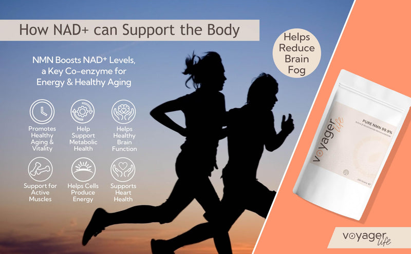 Voyager Pure NAD+ Powder Supplement | 100g Pouch – 3 Month Supply | 1g Per Serving | NAD Support for Cellular Health, Energy, Healthy Aging & Immune Support |3rd Party Tested, Non-GMO
