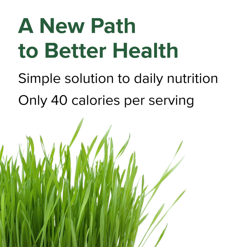 [Australia] - Vibrant Health, Green Vibrance, Vegan Superfood Pills, 240 Capsules (FFP) Frustration-Free Packaging 