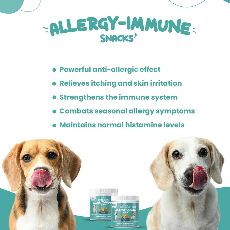 Turmeric Chews for Dogs – Hip & Joint Health Supplement Pain Relief Anti Inflammatory Arthritis Coconut Oil Vitamin E MSM Mobility Curcumin Skin Muscle Relaxer Black Pepper (90 Soft Chews) - PawsPlanet Australia
