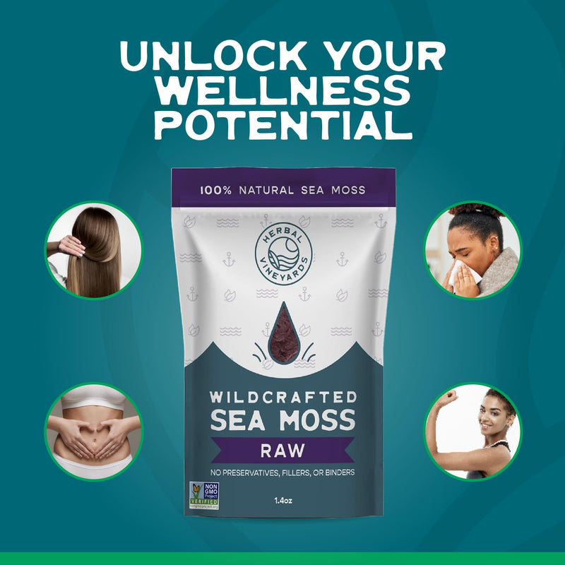 Herbal Vineyards Organic Wildcrafted Raw Purple Irish Sea Moss, 1.4oz | Wildcrafted, non-GMO, single-ingredient purple sea moss; small-batch freshness; simply rinse, soak & blend for gel or tea 1.4 Ounce (Pack of 1)