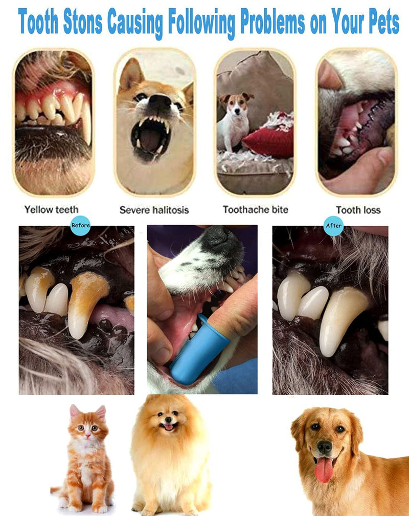 Teeth Cleaning Kit Dog Plaque Tartar Remover Tools Pet Dental Tooth Scaler and Scraper Silicone Finger Toothbrush for Puppy Cats Tooth Pick Stone Remover Dogs Oral Care Hygiene Cleaning Tools (12Pcs) 12 Count (Pack of 1) - PawsPlanet Australia