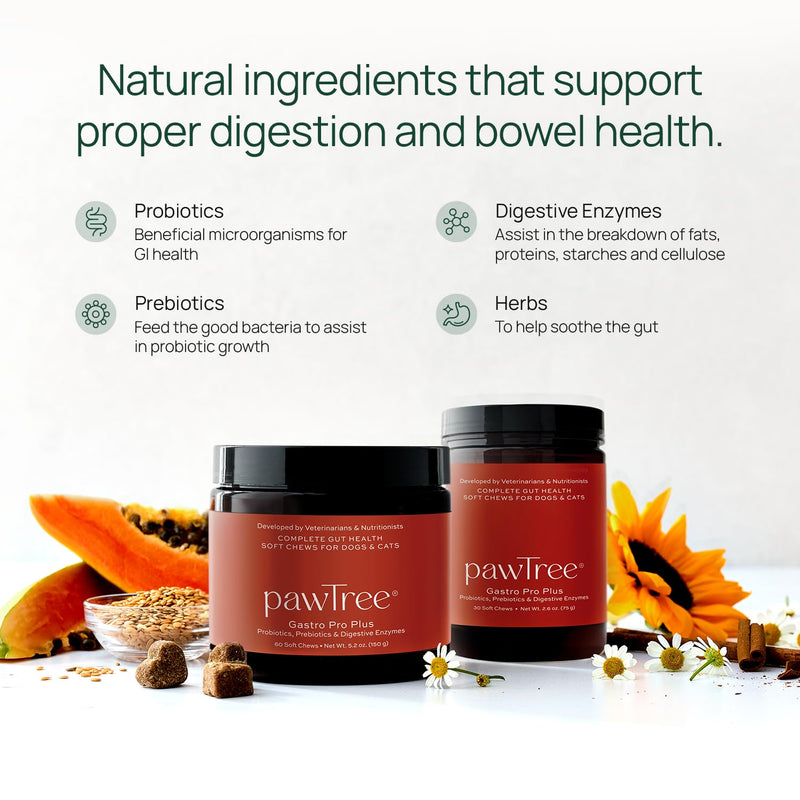 pawTree Gastro Pro Plus for Dogs and Cats - Probiotics, Prebiotics and Digestive Enzymes - for Sensitive Stomach, Digestive Issues, Loose Stool, and Bad Gas (60 ct) 60 ct - PawsPlanet Australia