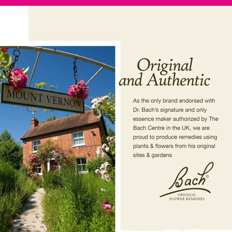[Australia] - Bach Original Flower Remedies, Star of Bethlehem for Grief and Shock (Non-Alcohol Formula), Natural Homeopathic Flower Essence, Vegan, 10mL Dropper 