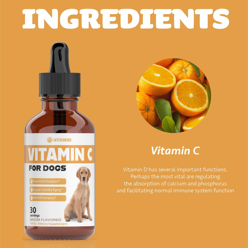 Vitamin C for Dogs | Helps with Improving Immune Health | Vitamin C for Dogs Liquid | Dog Immune Support | Dog Immune and Allergy Supplement | Dog Immune Booster | 1 oz Bacon Flavor - PawsPlanet Australia