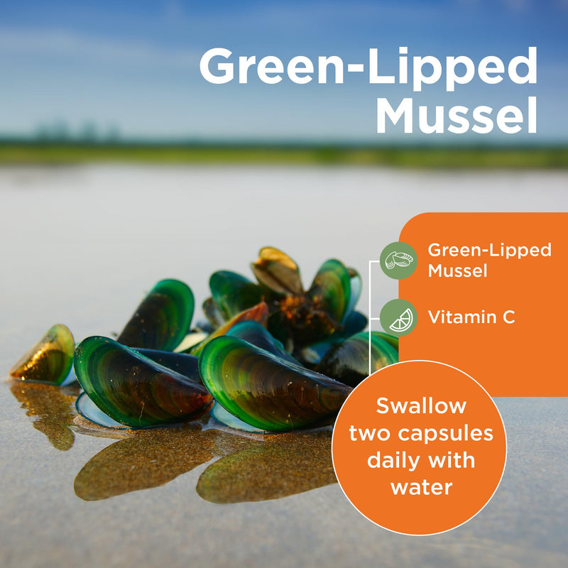 Healthspan Green Lipped Mussel (120 Capsules) | for Bone & Cartilage Support | Added Vitamin C | 500mg Responsibly Sourced New Zealand Green Lipped Mussel Powder